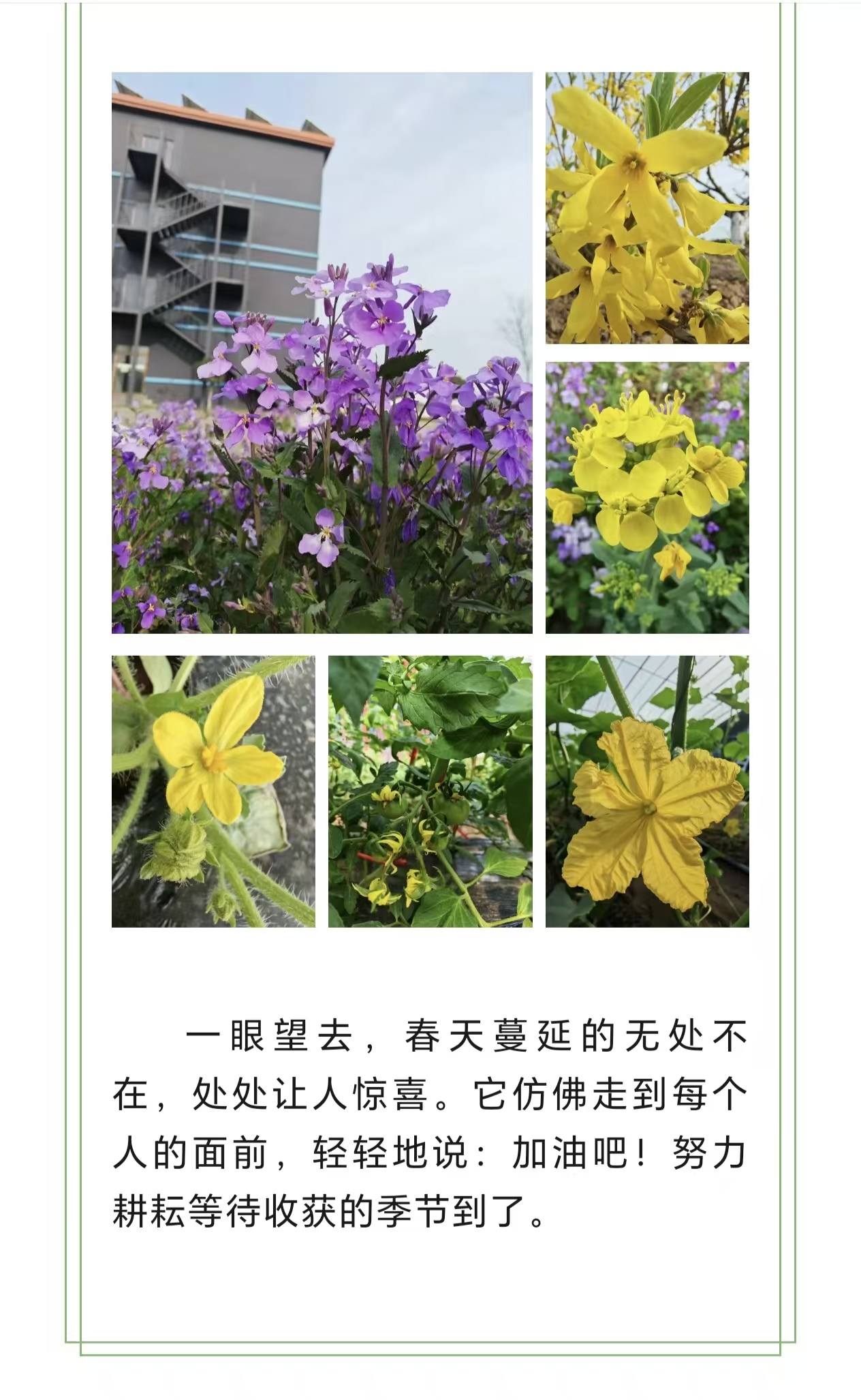 微信图片_20260423100016_874_61.jpg